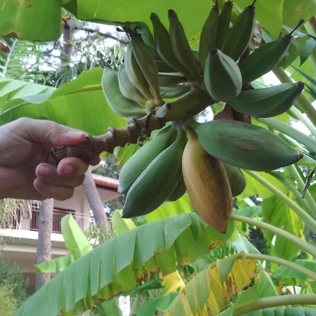 Matina 2 Appartement Kyparissia