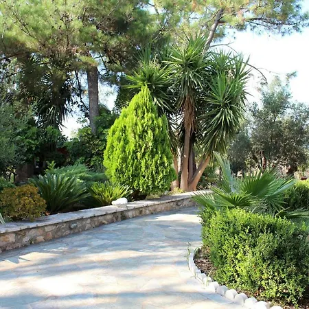 Matina 2 * Kyparissia