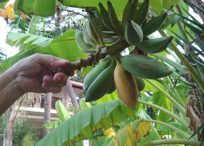 Matina 2 Apartmán Kyparissia