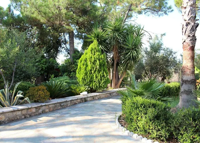 Matina 2 * Kyparissia